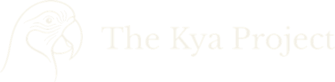 The Kya Project
