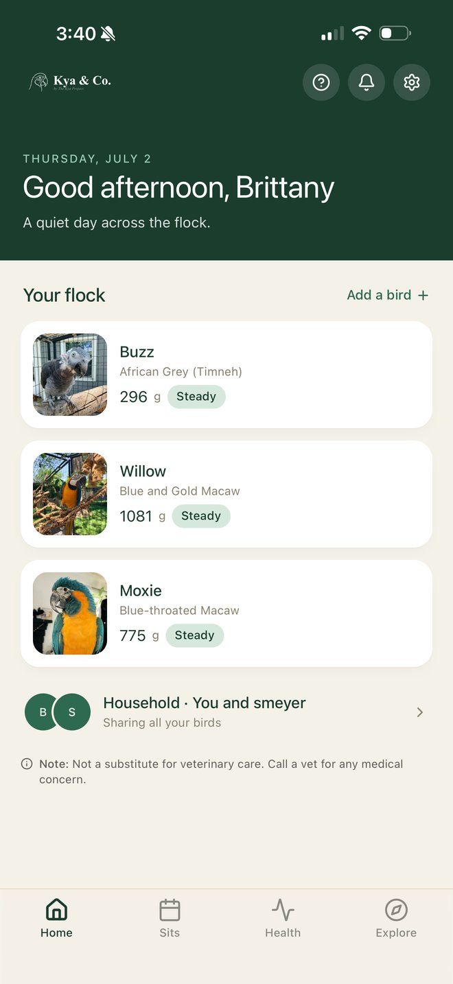 Kya & Co. flock screen with latest bird weights