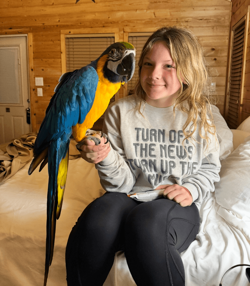 A smiling girl holding a blue-and-gold macaw on her hand indoors